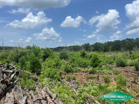 0 Nebo Road, Jamestown, LA 71045