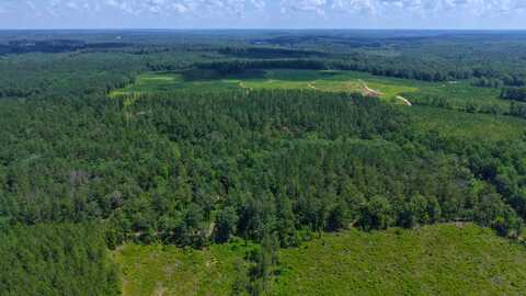 0 Sexton Bridge Road, Luverne, AL 36049