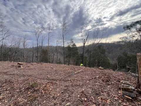 478 Peach tree Ln, Russell Springs, KY 42642
