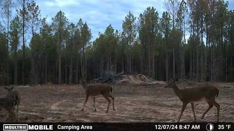 19.43 Big Rocks Rd, Antlers, OK 74523