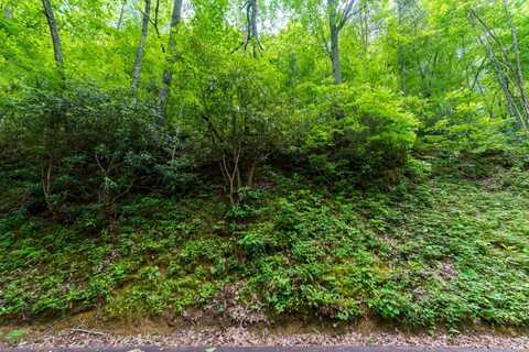 Lot 11 Zurich Road, Gatlinburg, TN 37738