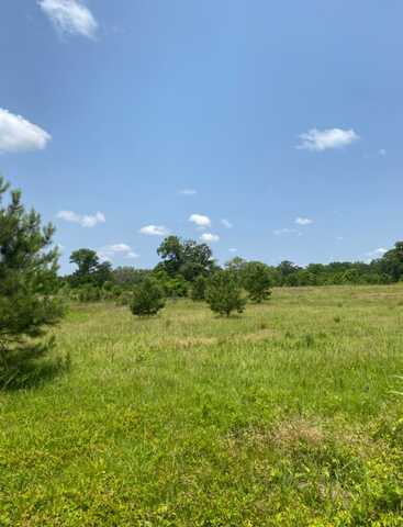 0 Highway 47, Columbiana, AL 35051