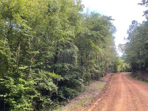 0 Attala Rd 3232, Kosciusko, MS 39090