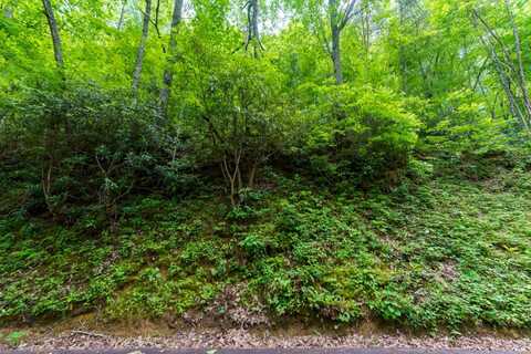Lot 10 Zurich Road, Gatlinburg, TN 37738