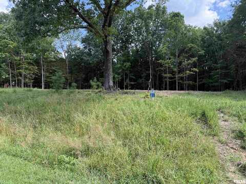 Lot 305 Pecan Point Lane, Goreville, IL 62939