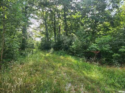 12326 N Ring Lane, Woodlawn, IL 62894