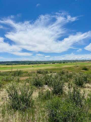 Mustang Dr, Colorado City, CO 81019