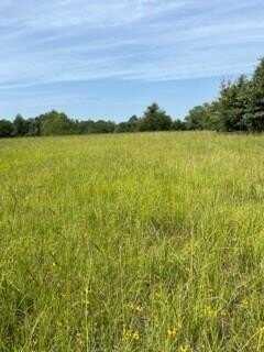 0 An County Road 2610, TENNESSEE COLONY, TX 75861
