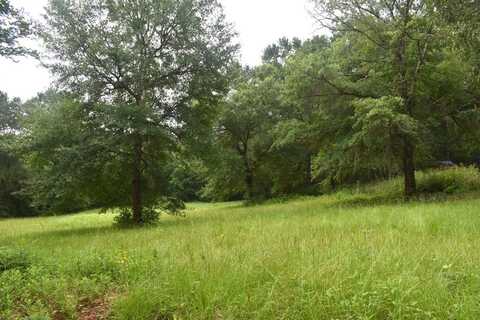 TBD An County Road 155, ELKHART, TX 75839