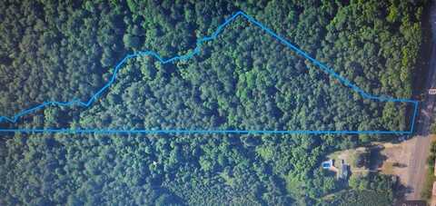 00 US Highway 231, Brundidge, AL 36010