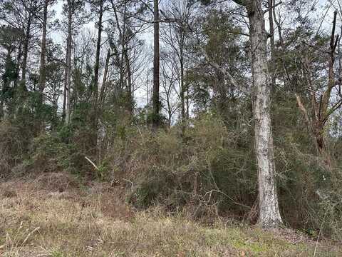 00 US Highway 231, Brundidge, AL 36010