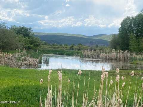 4445 N Millrace Road, Oakley, UT 84055