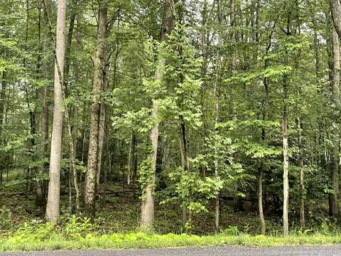 1 Lafayette Avenue, Tamaqua, PA 18252