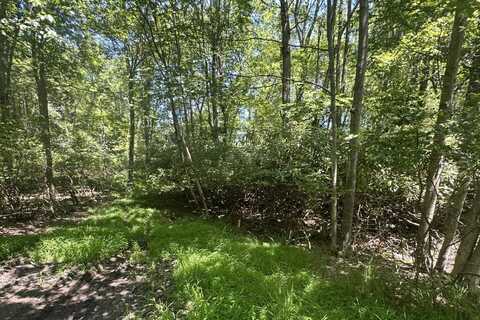 Lot 2 Tamarack Terrace, Pocono Summit, PA 18346