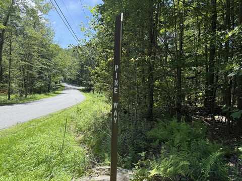 10 Pine Way, Newfoundland, PA 18445