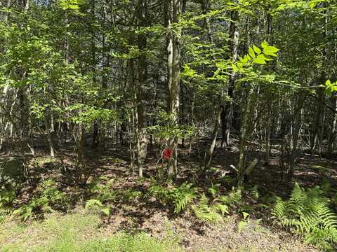 Fawn Road, Hawley, PA 18428