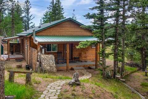 173 Chalk Creek Trail, Florissant, CO 80816