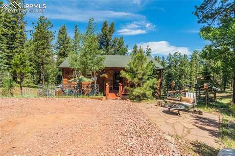 4069 Omer Lane, Divide, CO 80814