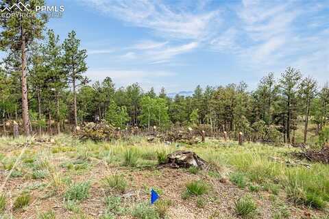 77 Monarch Drive, Florissant, CO 80816