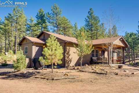 1110 Pikes Peak Drive, Florissant, CO 80816