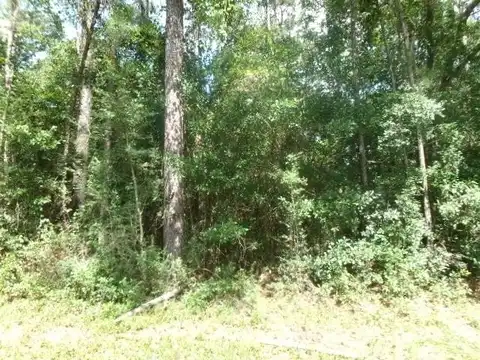 0 Dupont Harts Chapel Rd., Poplarville, MS 39470