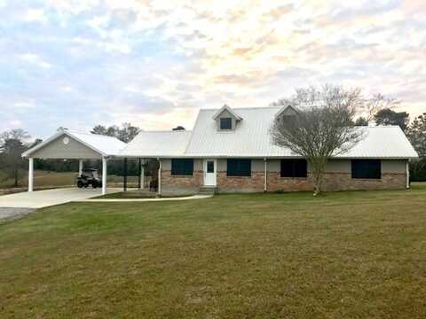 1456 Mcneill Steep Hollow Rd, Carriere, MS 39426