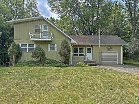 10995 Thornapple Drive, Stanwood, MI 49346