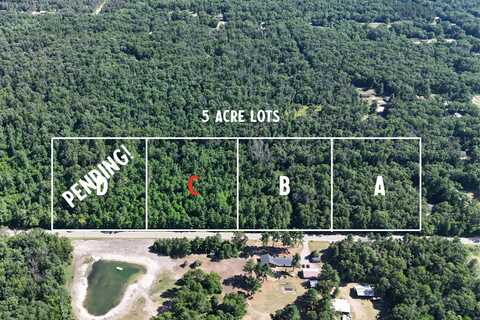 Par C W Almy Road, Howard City, MI 49329