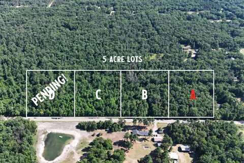 Par A W Almy Road, Howard City, MI 49329