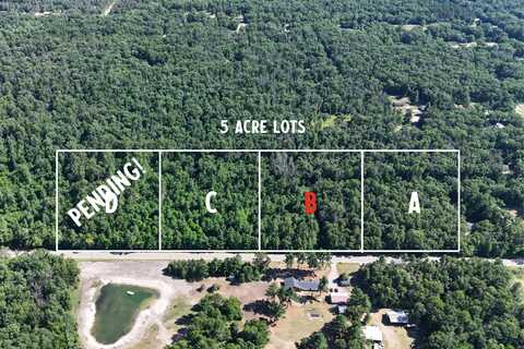 Par B W Almy Road, Howard City, MI 49329