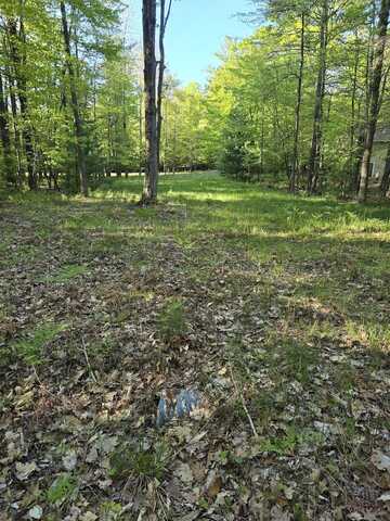 Lot 5 & 14 N Ridge Road, Mears, MI 49436