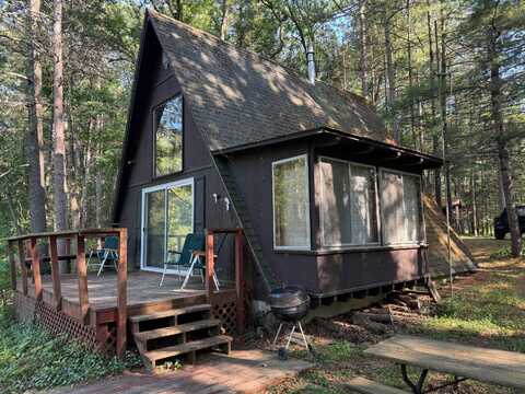 8160 W River Road, Irons, MI 49644