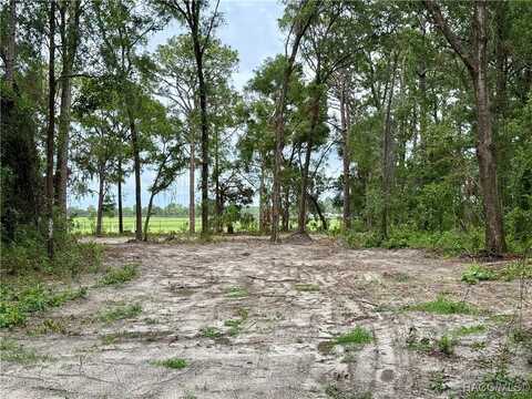 3921 S Placid Avenue, Inverness, FL 34452