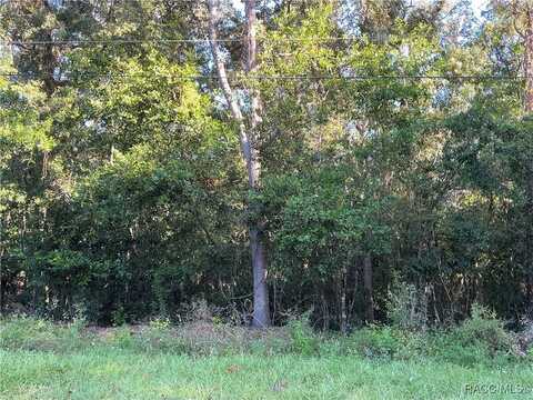 883 W Keller Street, Hernando, FL 34442