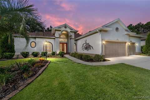 3188 N Chandler Drive, Hernando, FL 34442
