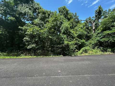 Lot 9 Paola Lane, Kimberling City, MO 65686