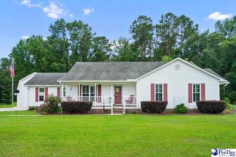 302 Ridgewood dr, Marion, SC 29571