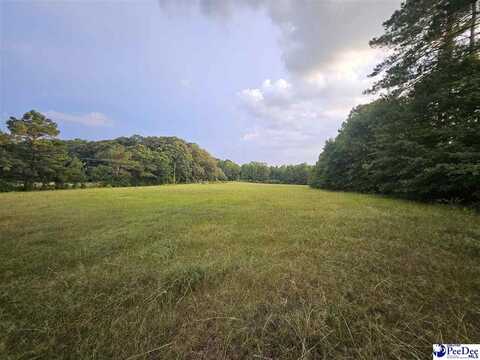 0000 Morrison Rd, HARTSVILLE, SC 29550