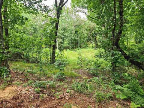 Lot 6 CR 4125, Lindale, TX 75771