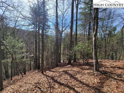 Tbd (lot 72) Creekside Meadows Drive, Fleetwood, NC 28626