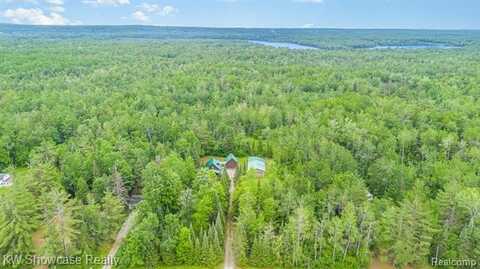 699 W Cherry Creek Road, Mio, MI 48647