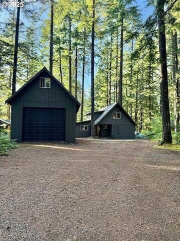 Cabin 41 Northwoods, Cougar, WA 98616