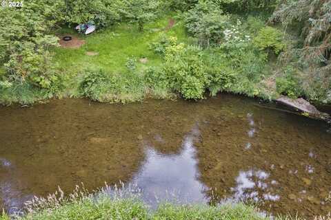10235 RIDGE VIEW TER, Birkenfeld, OR 97016