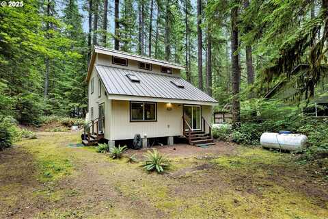 Northwoods Cabin 165, Cougar, WA 98616