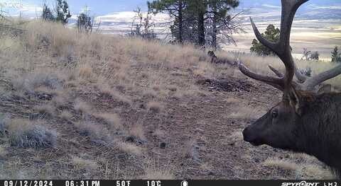 FS Rd 613, John Day, OR 97845