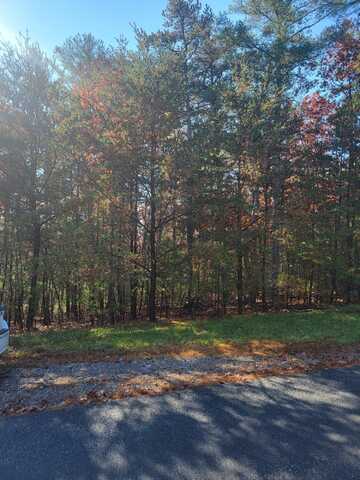2930 New Ridge RD, Elliston, VA 24087