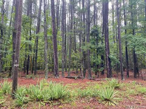 lot 1 Hinton Mill Rd, Boydton, VA 23917