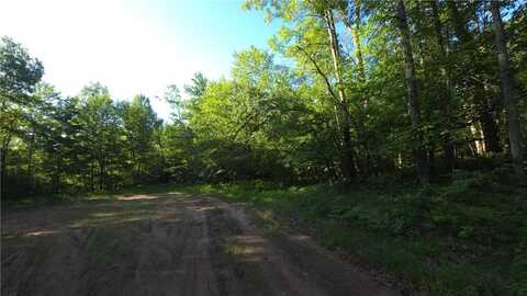 Xxx Hawks Nest Avenue, Jackson Twp, WI 54830