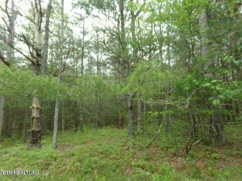 20 Paola Court, Crossville, TN 38572