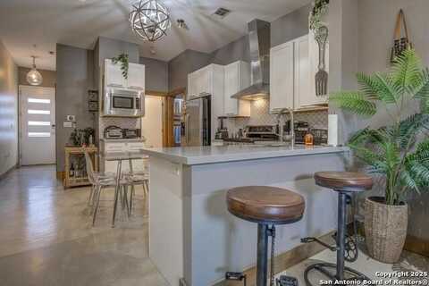 #203 1542 N. ALAMO ST, San Antonio, TX 78215